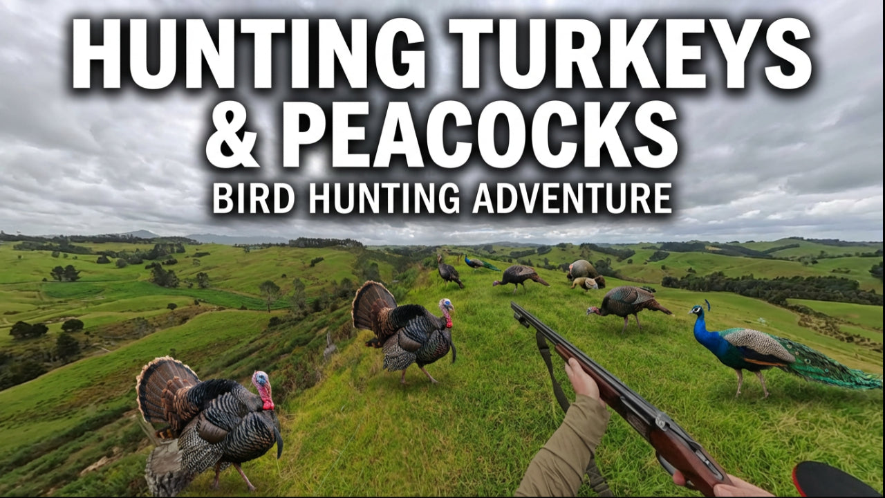 Polaris ATV Hunting | Turkeys & Peacocks in New Zealand