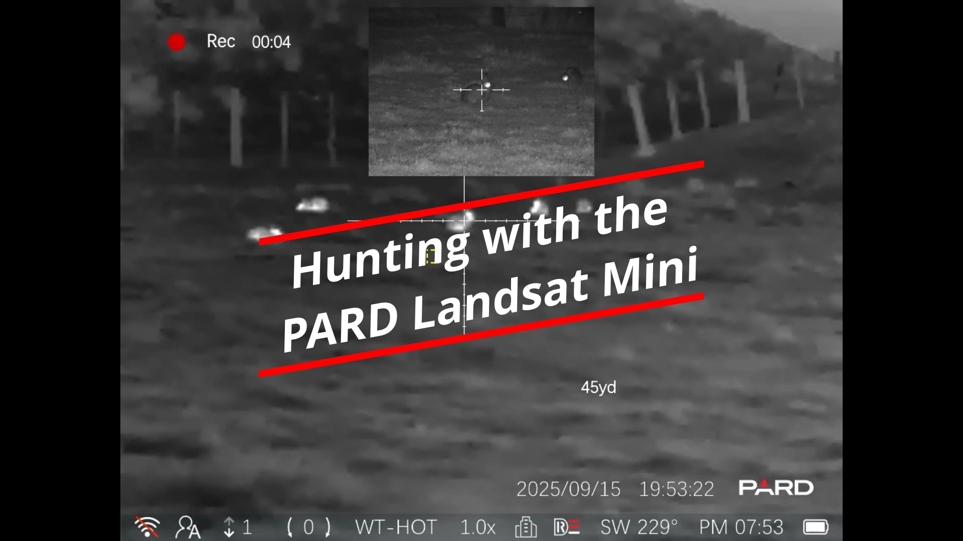 Hunting Rabbits at Night with the PARD Landsat Mini: A Game-Changer for Precision and Portability