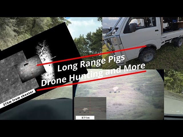 Long Range Pigs, Night-time Pigs with PARD Night Stalker 4k