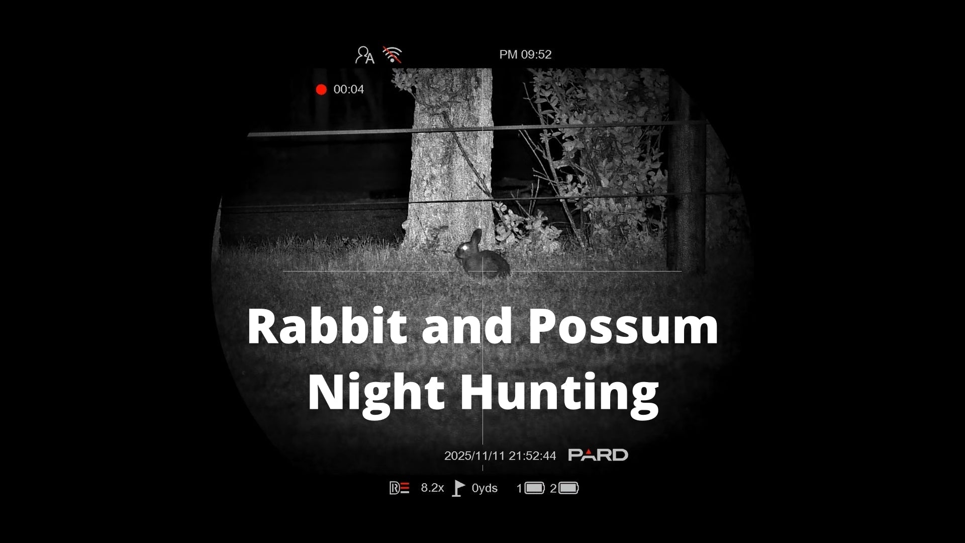 Hunting Rabbits and Possums in the Dark