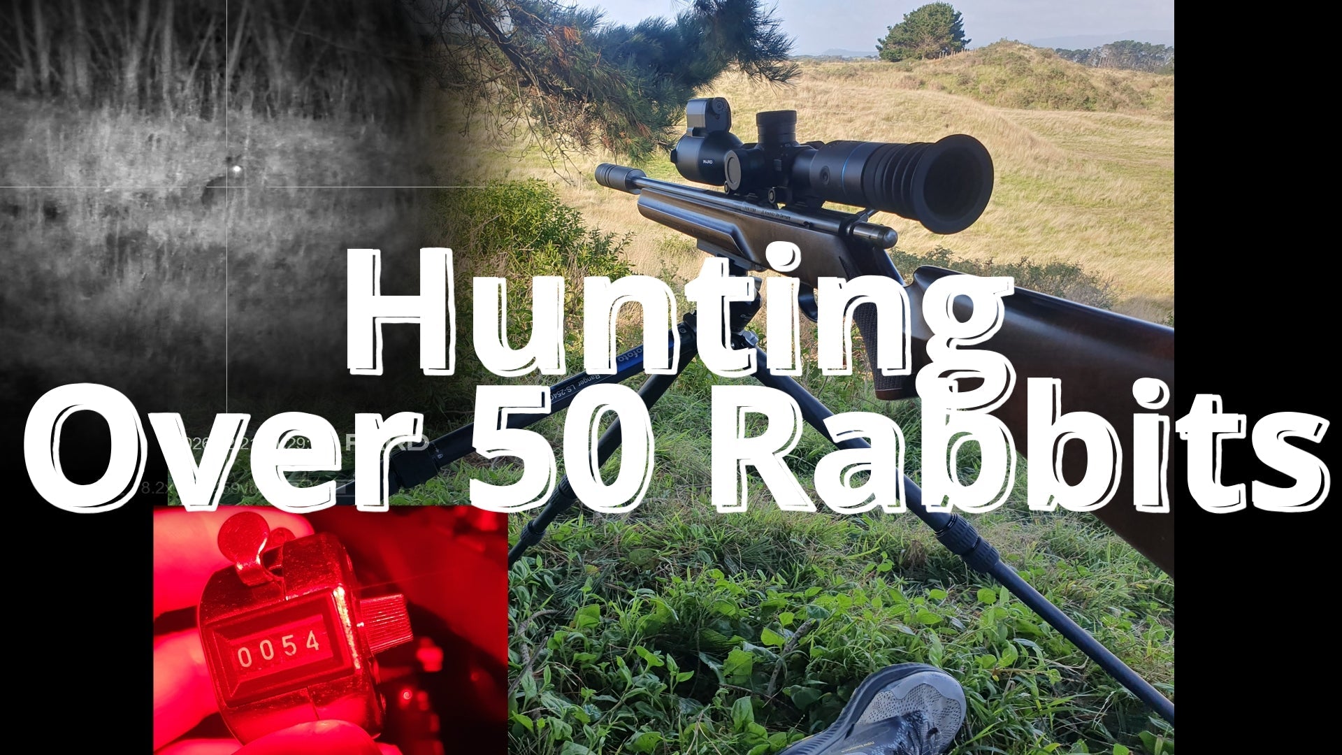 Hunting Rabbits After Dark - Pard EX in Action