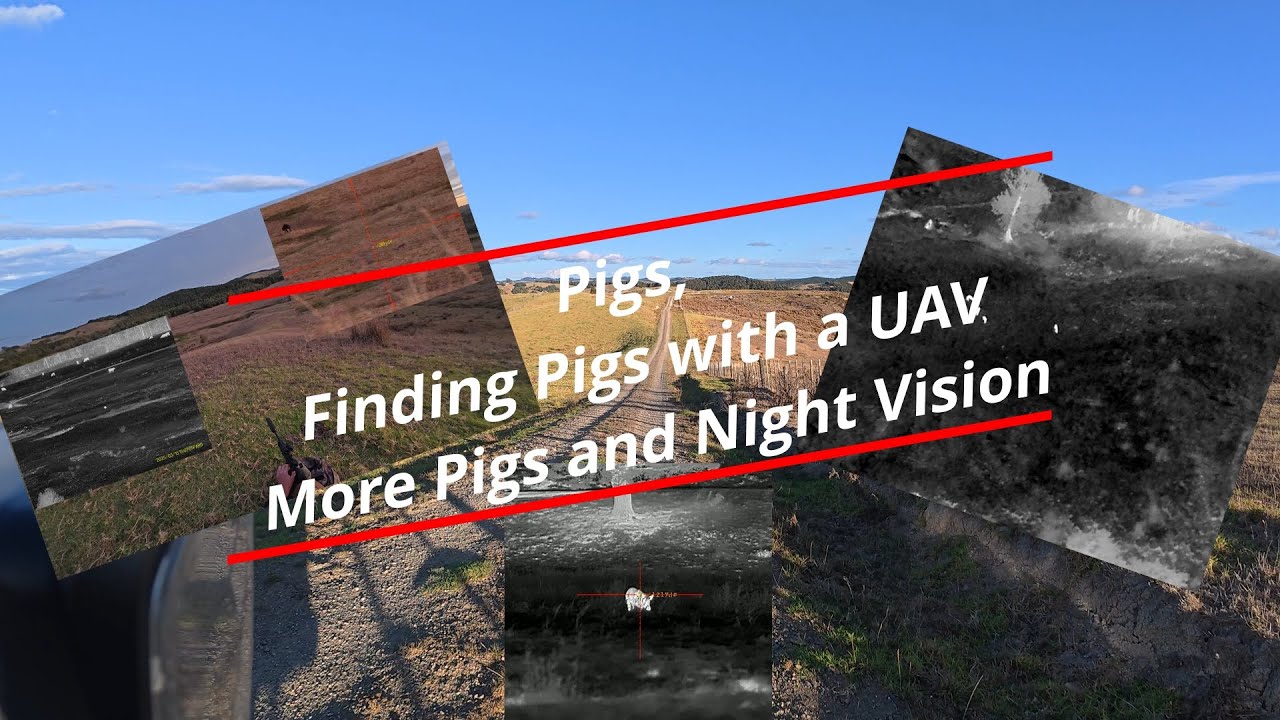 Hunting Pigs with Drone and Night Vision