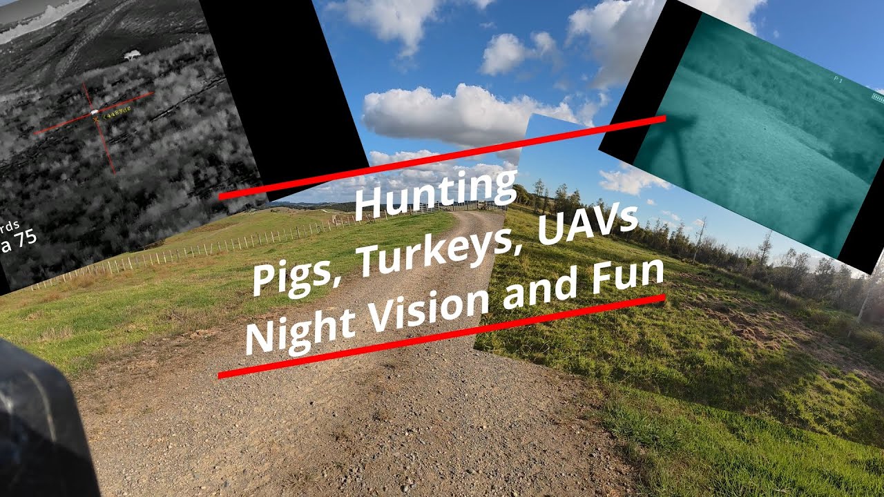 Hunting Pigs with Night Vision