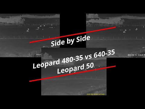 Leopard 50